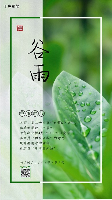 谷雨树叶绿色摄影图海报