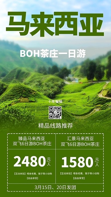 马来西亚BOH茶庄绿色系简约风格海报
