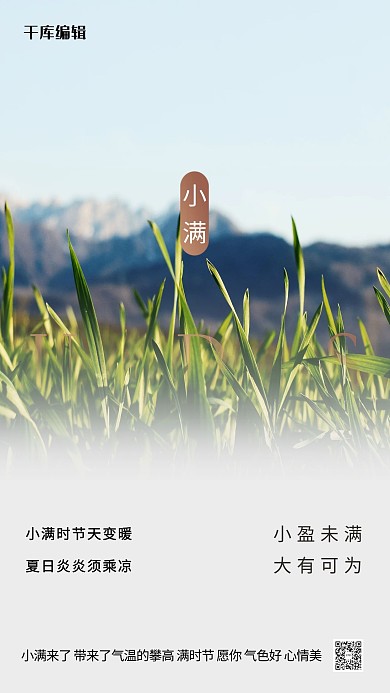 小满田园白色创意海报