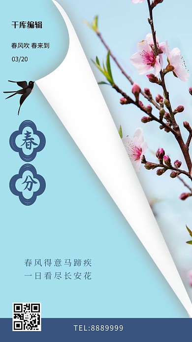 春分桃花蓝色简约海报