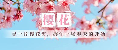 春天樱花季樱花粉蓝色写实公众号首图