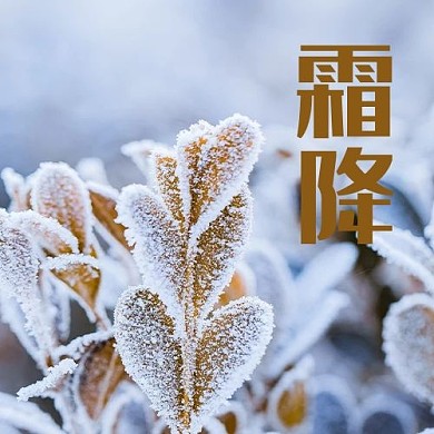 霜降冬天白色摄影图公众号次图