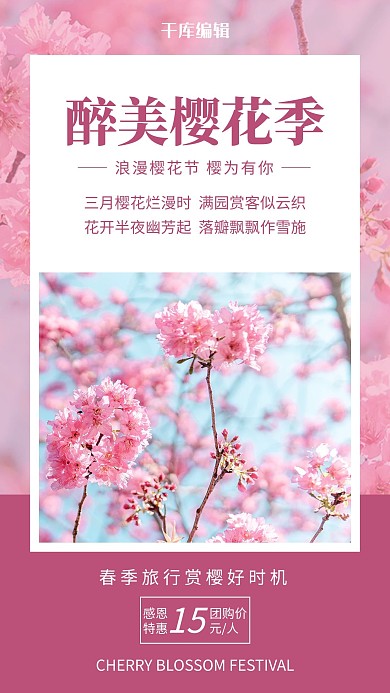 醉美樱花季樱花紫色简约风手机海报