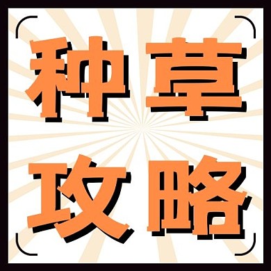 双十一种草攻略橘色扁平海报