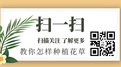 文字黄色简约关注二维码