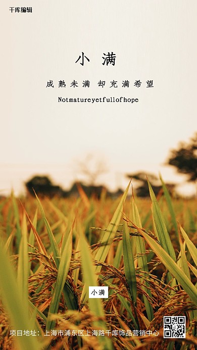 小满小麦棕色写实海报