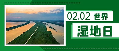 世界湿地日摄影图公众号首图