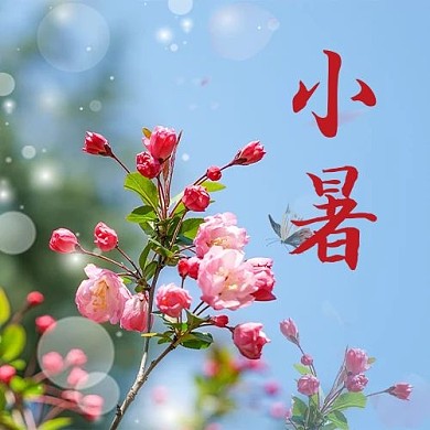 小暑桃花粉色摄影图公众号次图