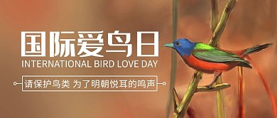 国际爱鸟日保护鸟类彩色卡通公众号首图