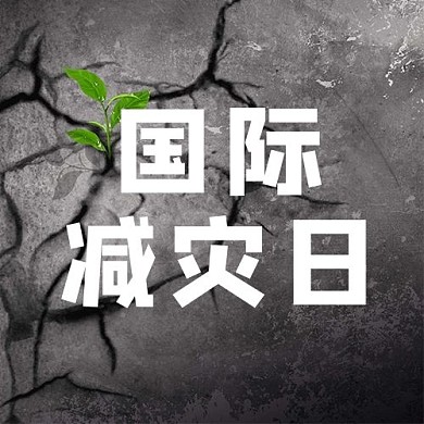 国际减灾日裂缝灰色简约公众号次图