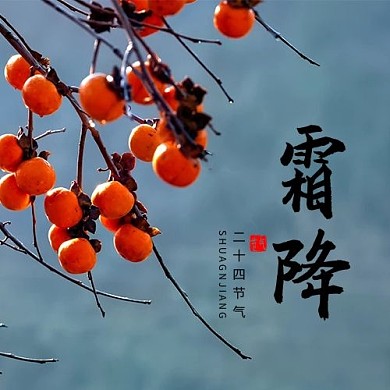 霜降柿子树橙色摄影风公众号次图