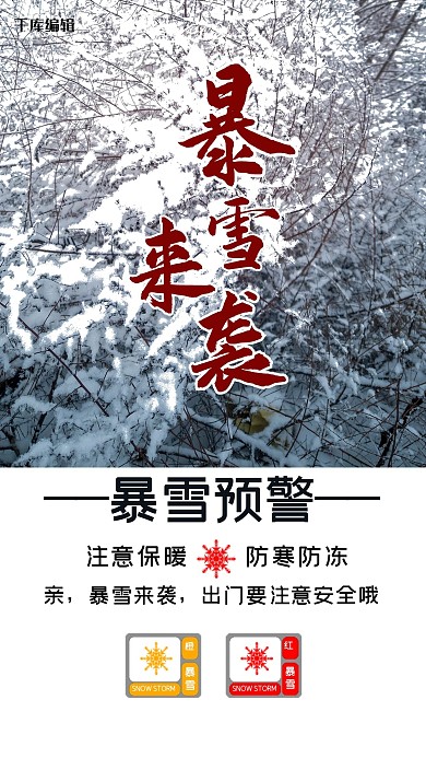 简约风格暴雪来袭预警海报