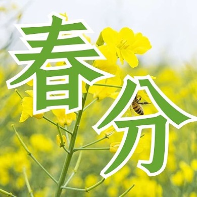 24节气春分绿色简约公众号次图