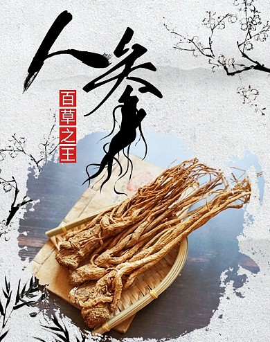 中国风人参养生保健品电商banner