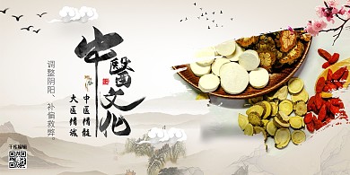 中医文化养生药材复古色中国风展板