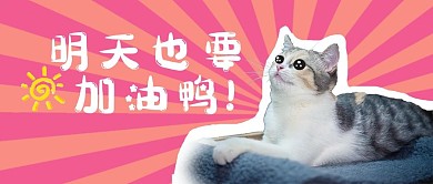 明天也要加油呀期待猫粉卡通公众号首图