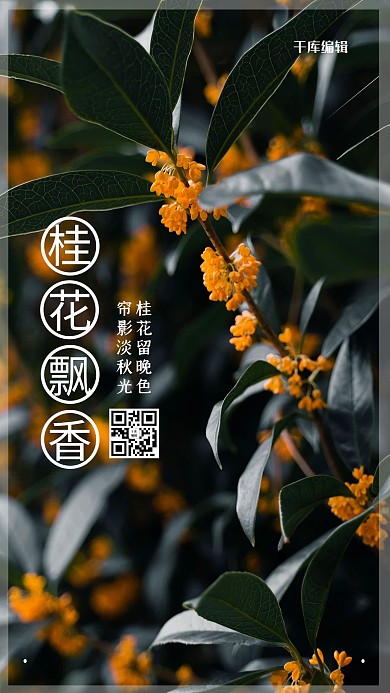 摄影图海报桂花飘香绿色清新海报