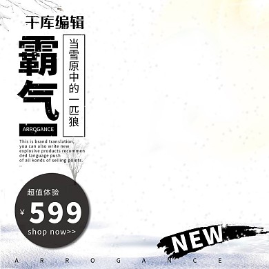 电商淘宝霸气冬季男装滑雪节黑白色简洁合成