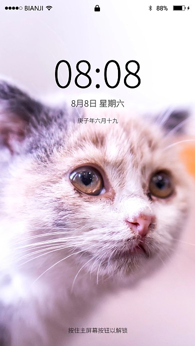 宠物 猫 狗 萌 动物