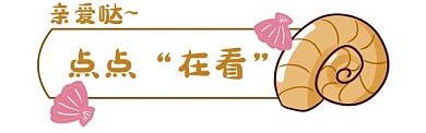 贝壳蜗牛引导在看
