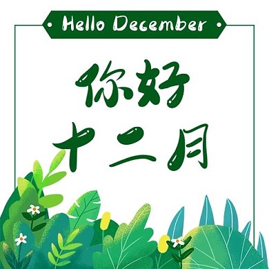 你好十二月 植物 绿色 卡通 公众号次图