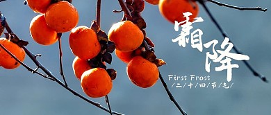 十四节气霜降灰蓝色简约公众号封面