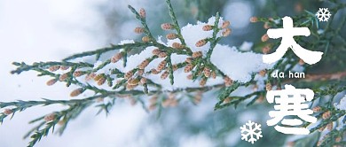 大寒雪景绿色写实公众号首图