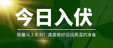 今日入伏大太阳 绿叶绿色简约风公众号首图