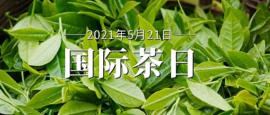 国际茶日茶叶绿色摄影写实公众号首图