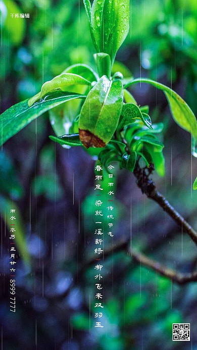 雨水绿叶绿色写实海报