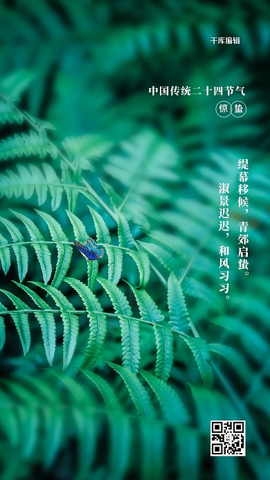 惊蛰绿叶绿色写实海报