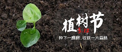312植树节树苗摄影图公众号首图