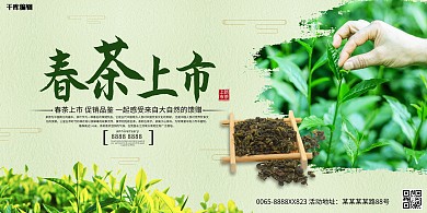 春茶上市摄影图绿色简洁创意展板