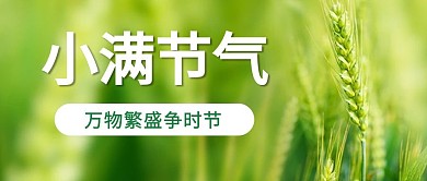 小满节气麦穗青色简约风公众号首图