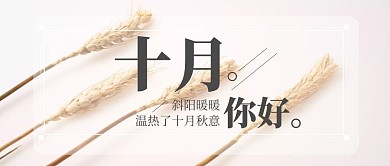 简约树叶十月问候正能量打卡实景公众号首图