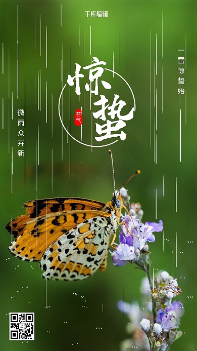 惊蛰蝴蝶绿色简约风海报