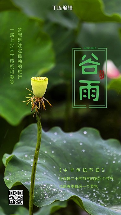 谷雨荷花绿色摄影海报