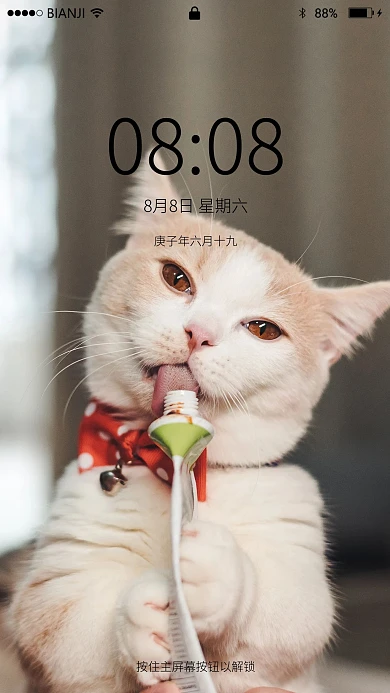 吃东西的猫手机壁纸