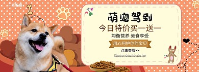萌宠用品橘色简约banner