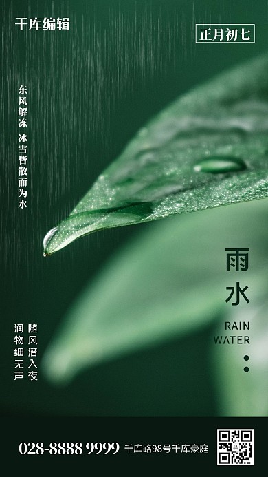 雨水露珠叶子绿色简约海报