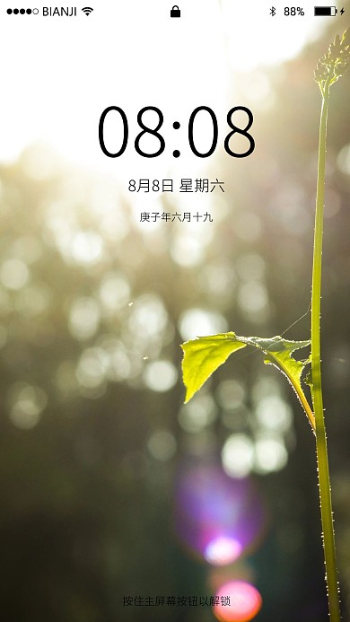 逆光下植物光晕摄影图手机壁纸