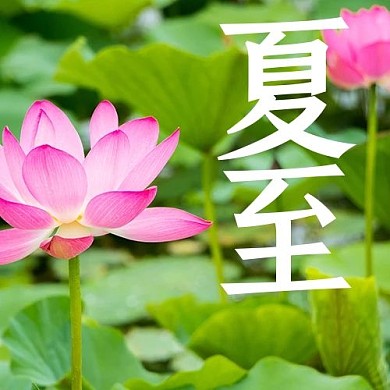 二十四节气夏至 绿色摄影公众号次图