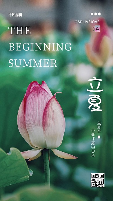 立夏荷花绿色创意海报