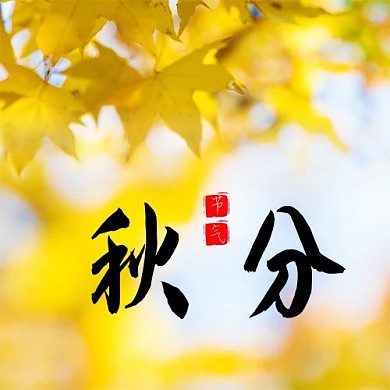 二十四节气秋分黄色简约公众号次图