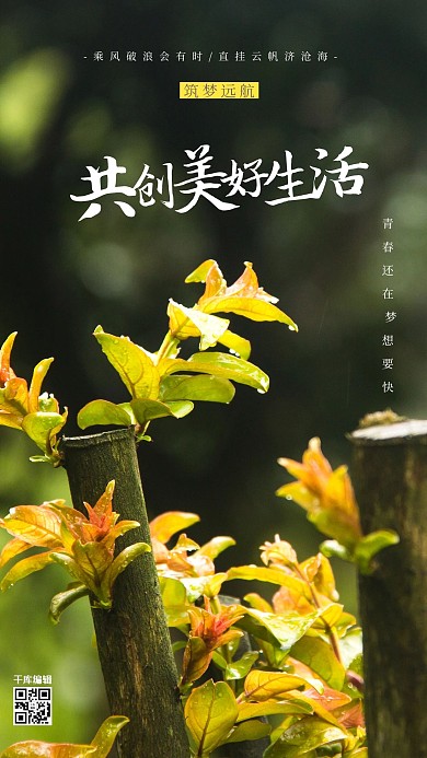 摄影图海报植物绿色简约海报