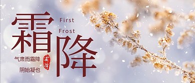 霜降雪景紫色简约公众号首图