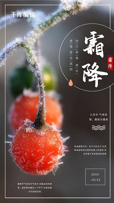 霜降简约雪景二十四节气海报