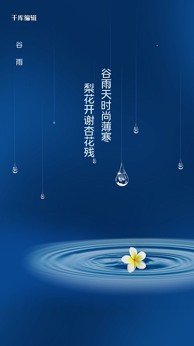 谷雨雨水蓝色简约海报