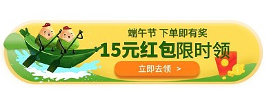 端午节粽子黄色 节日胶囊图