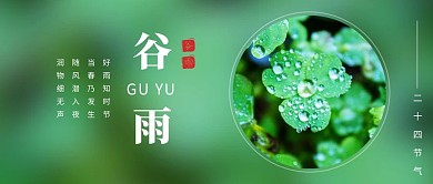谷雨节气四叶草绿色实景照片公众号首图